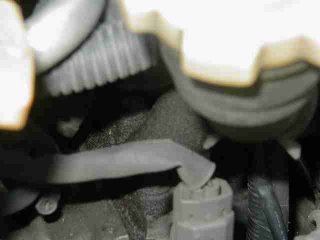 �w�b�h����I�C���R��